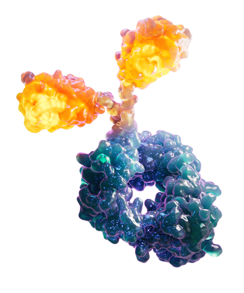 OmnidAb Antibody
